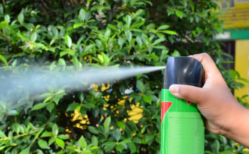 solución de llenado de rociador de pesticidas en aerosol
